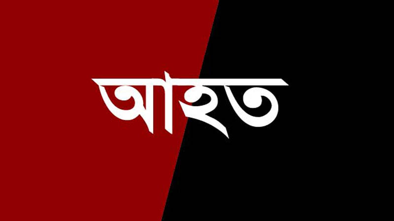 রায়পুরে মাছঘাটের নিয়ন্ত্রণ নিয়ে দুই পক্ষে সংঘর্ষ ১০ জন আহত