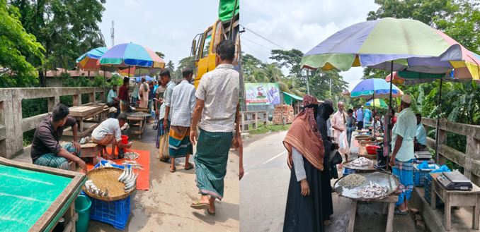 রামগতির আশ্রমে সড়কের উপর বসছে বাজার অসাধুদের দখলে সরকারী জমি
